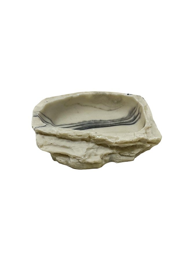 BIODUDE The Bio Dude Small Rock Water Bowl - Looks Natural and Easy to Clean! Great for Small Snakes, Lizards, Frogs and Tarantulas - Image 3